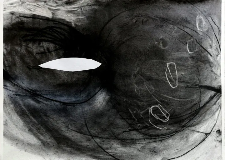 * crave 25-5-19 *, œuvre de Mojca Senegacnik