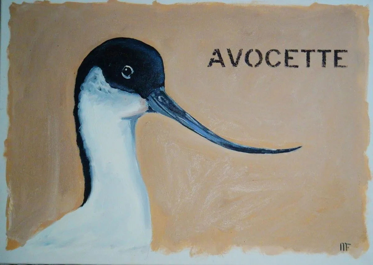 avocette, artwork by françois mouillard
