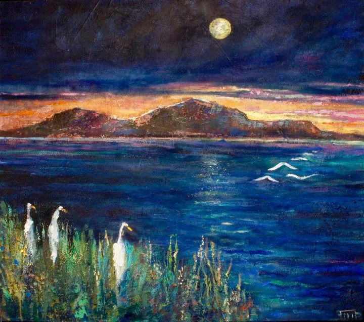 Sunset in Catemaco, œuvre de virginia filip