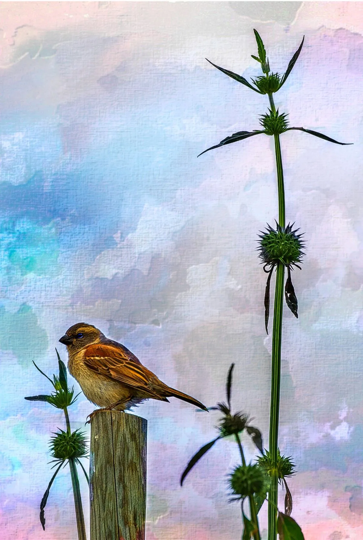 Bird on pole, œuvre de Herman van Bon