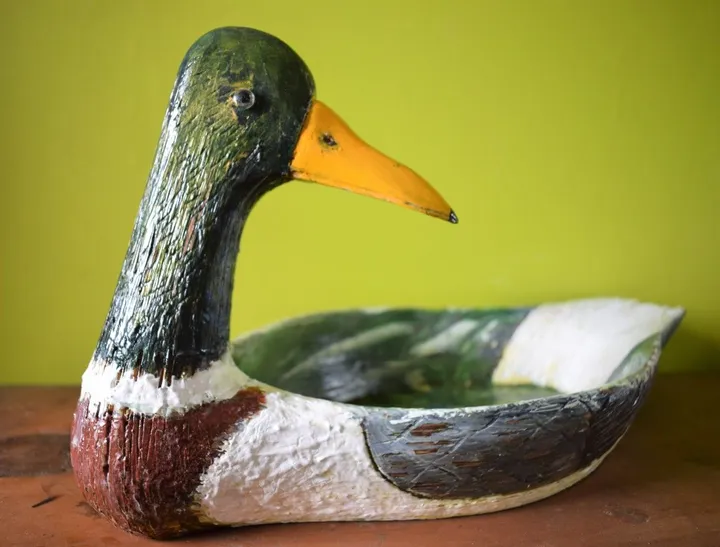 Wood Duck, artwork by Denis Roucau