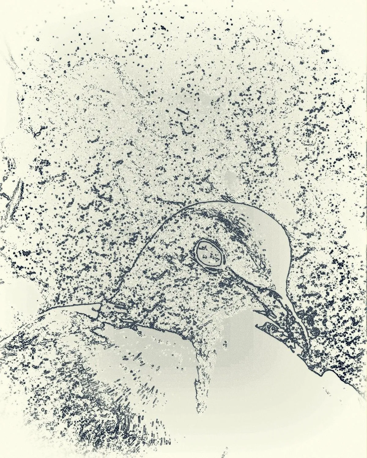 Seeking PEACE, œuvre de Emilia Radu