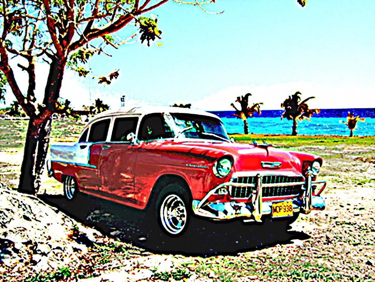 a cuba, œuvre de dominique bryet