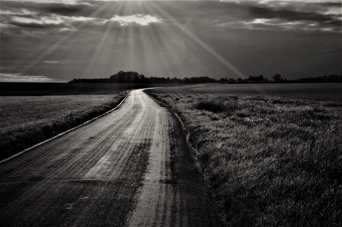On the road, artwork by Julien Nalia
