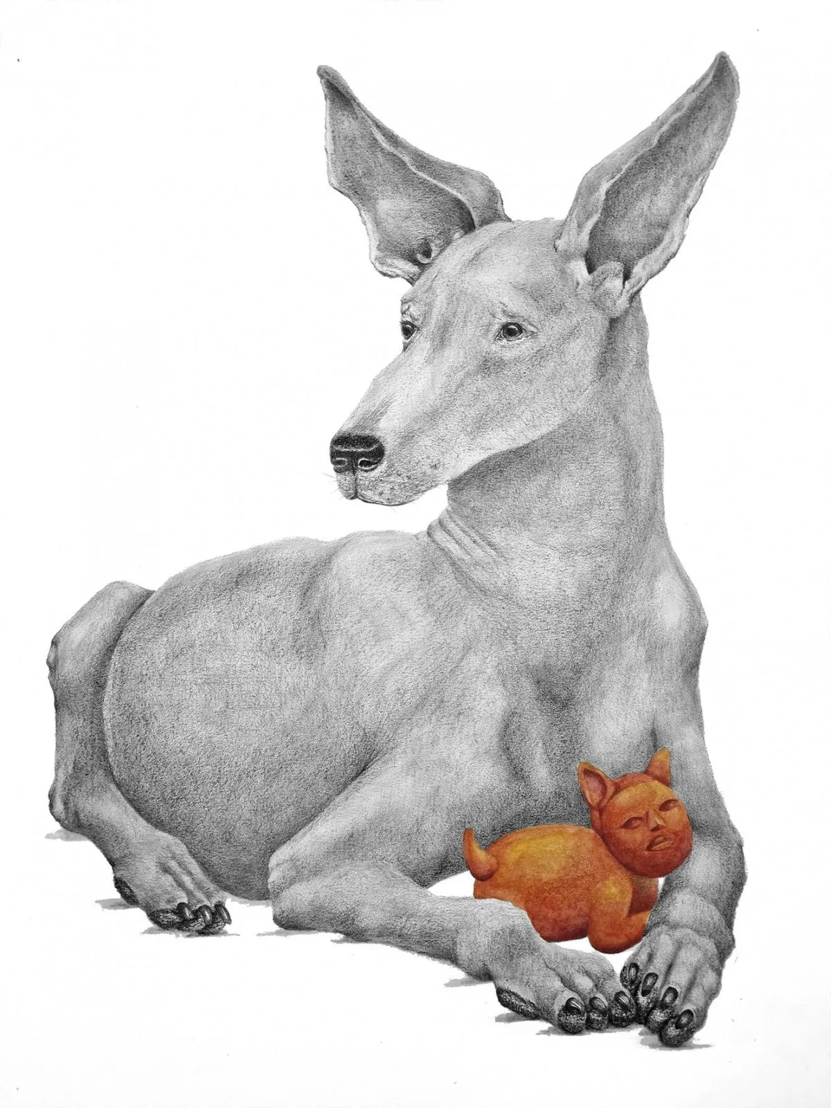 Xolo and tlalchichi No.3, artwork by Mónica Álvarez Herrasti