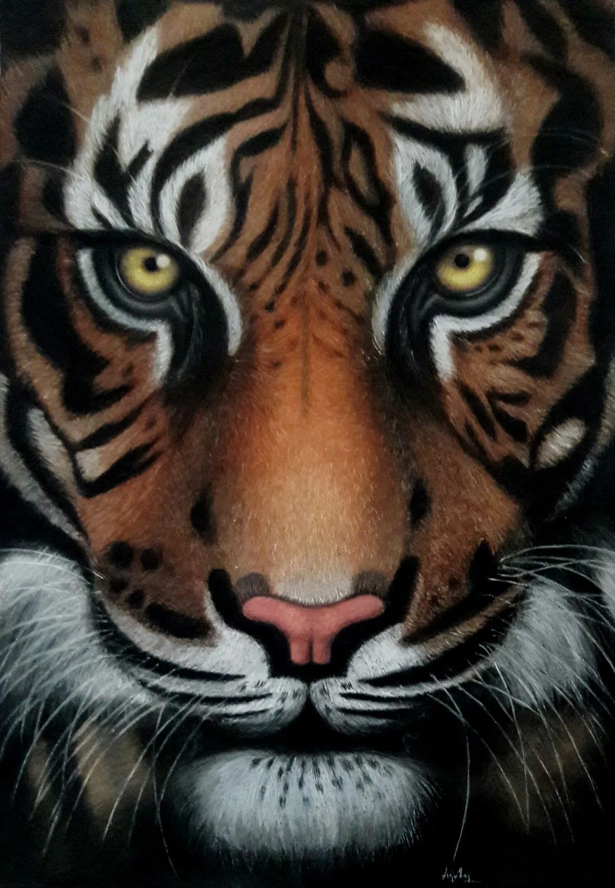 Mode Tigress, artwork by Anju Rajan