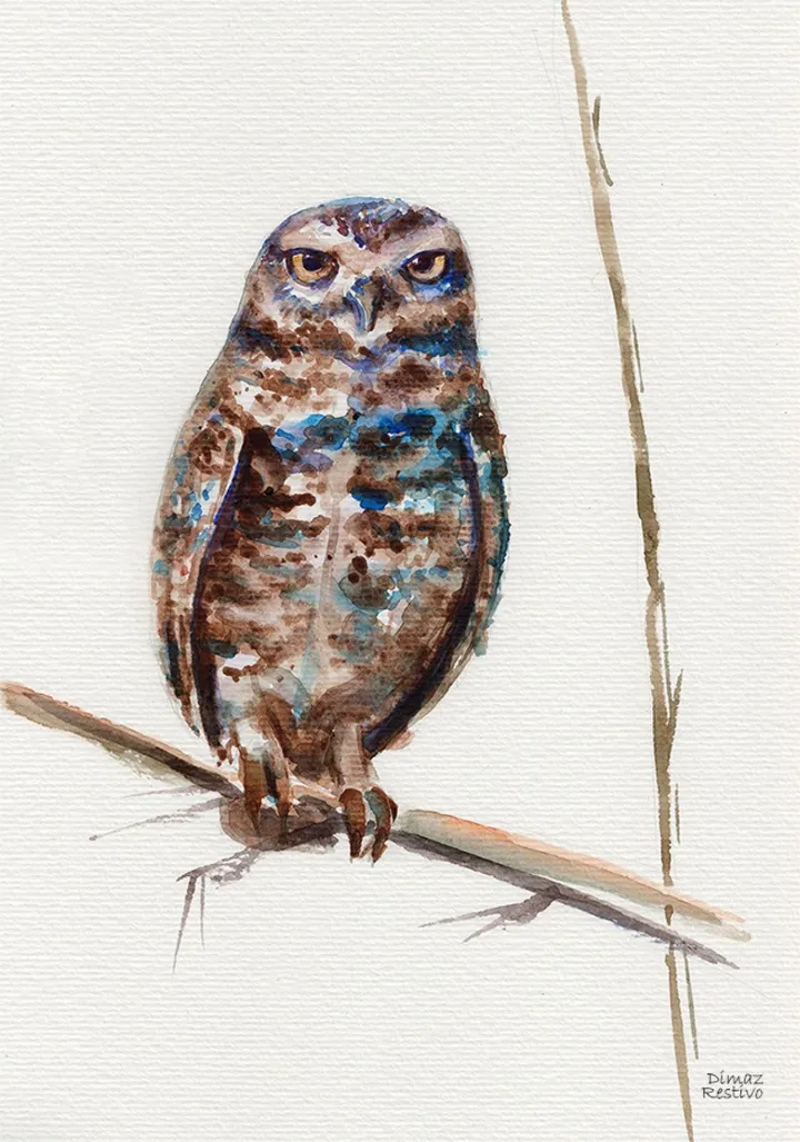 Owl, œuvre de Dimaz Restivo