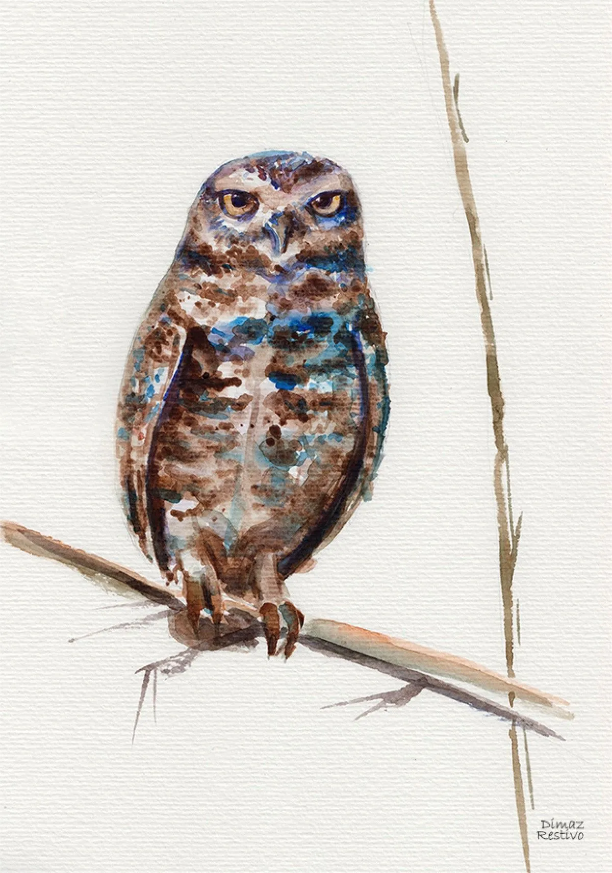 Owl, artwork by Dimaz Restivo
