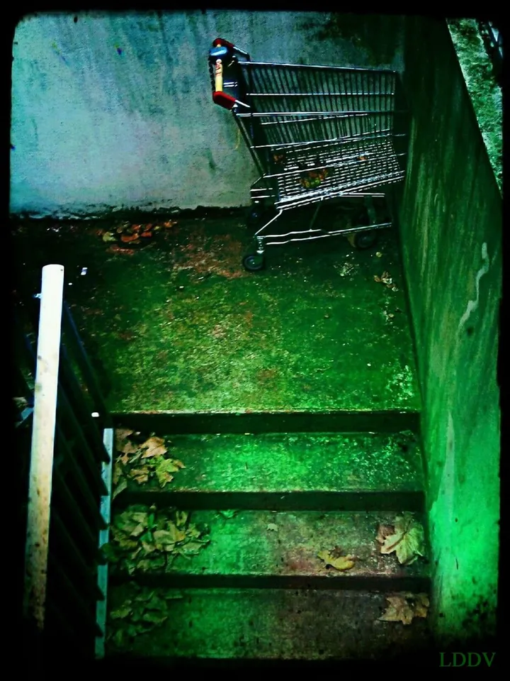 Urban Bones, œuvre de Le Dormeur Du Vol