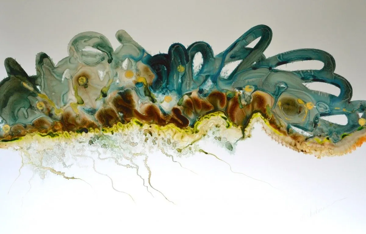 Racine Carré, artwork by Suzanne B. Charbonneau