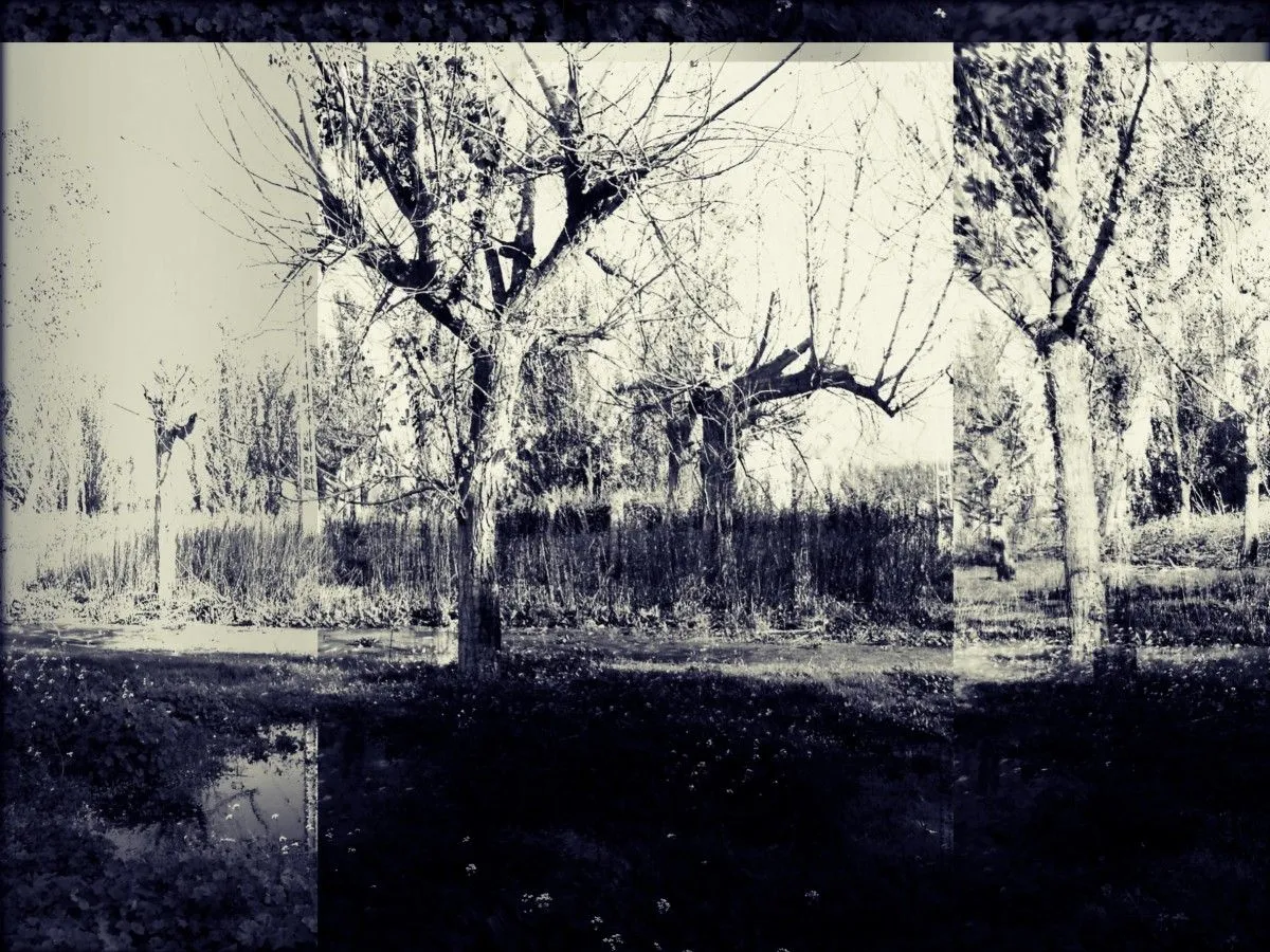 Parque, artwork by Joao Dias