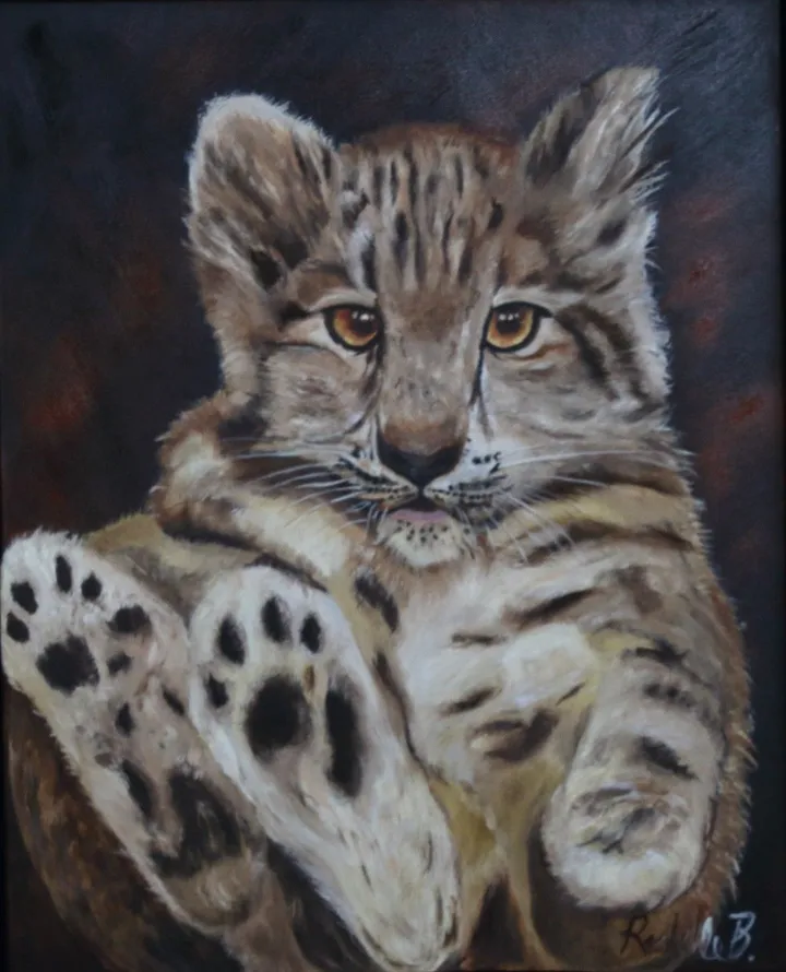 Baby snow leopard, œuvre de Rachelle Beaudry