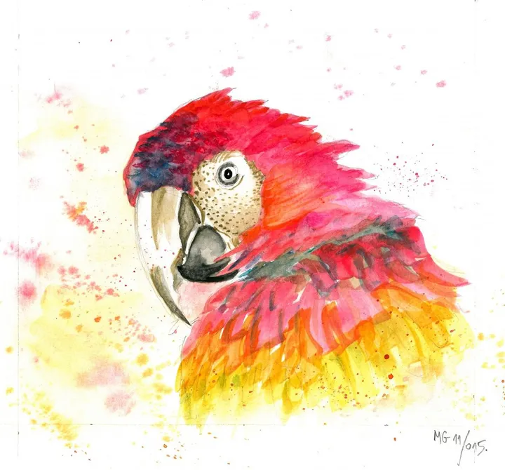 Ara parrot, artwork by Goran Martinovic