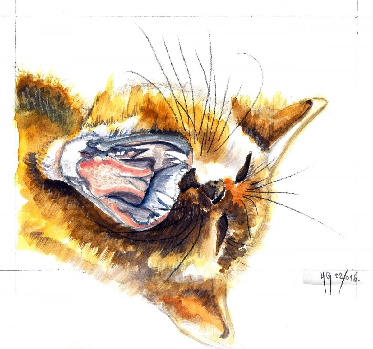 Cat 2, artwork by Goran Martinovic