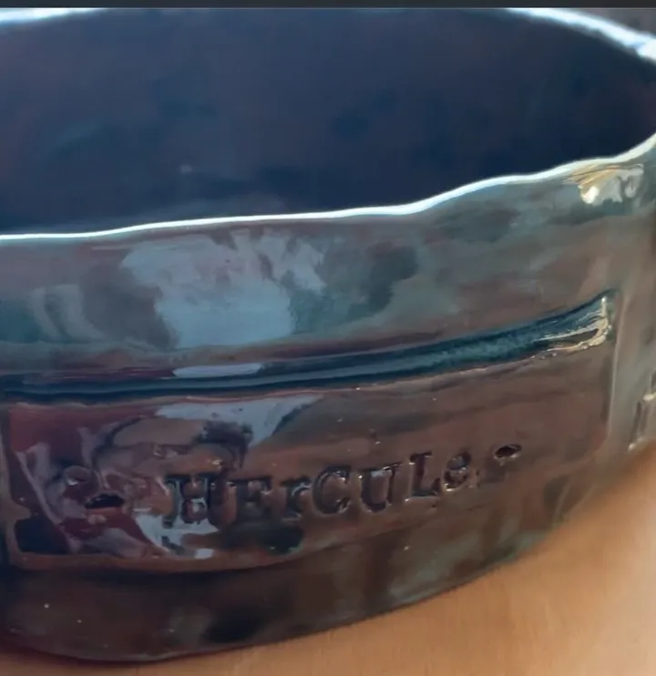 Gamelle pour chien «  Hercule «, artwork by Anne Cellier