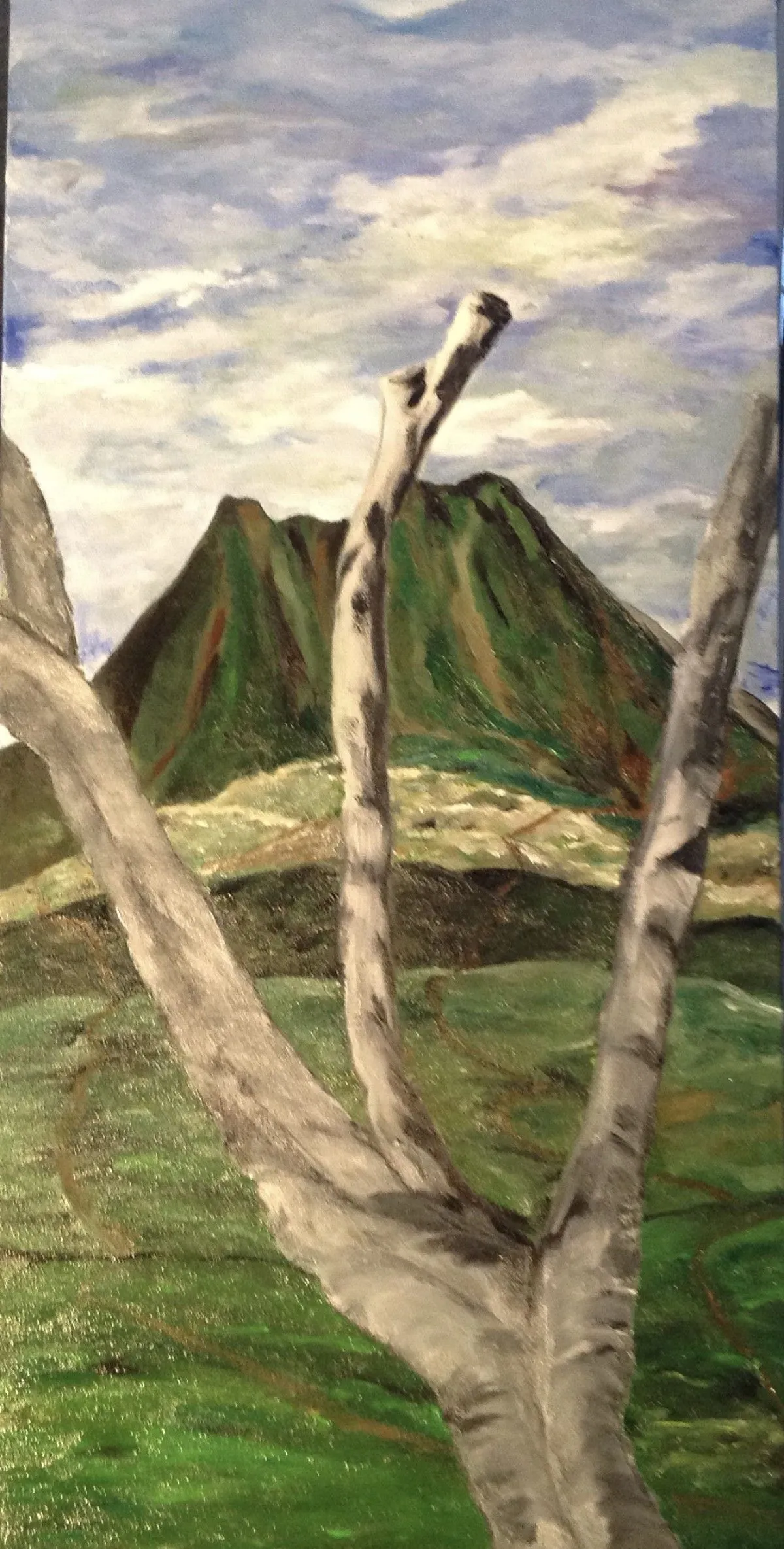141- Le paysage du Costa Rica, artwork by Lynda Hamel