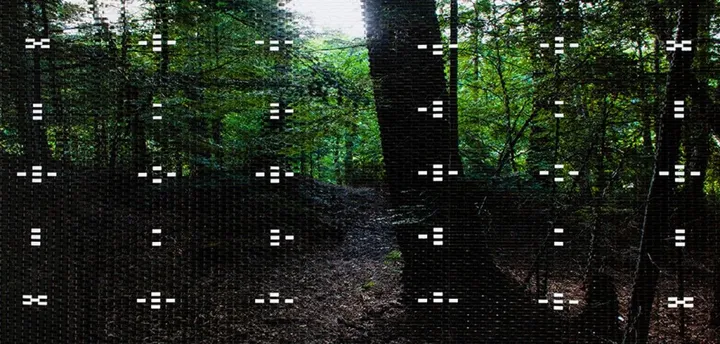 Forest 44, artwork by martin rondeau