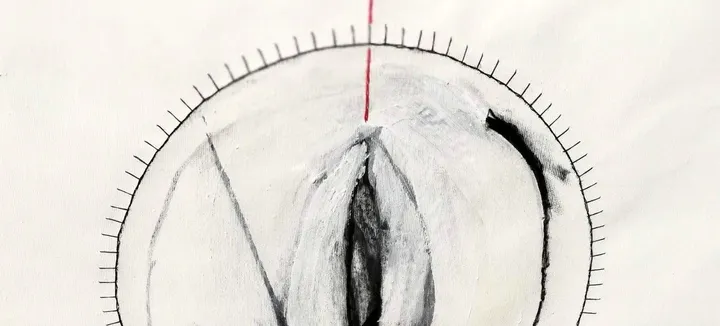* I'm not your Fanny *, œuvre de Mojca Senegacnik