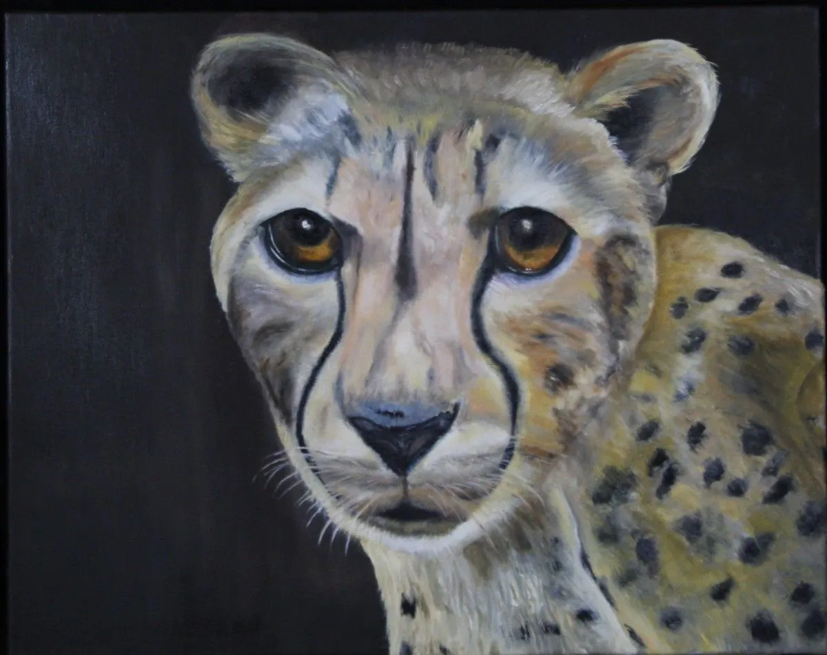 Cheetah, œuvre de Rachelle Beaudry