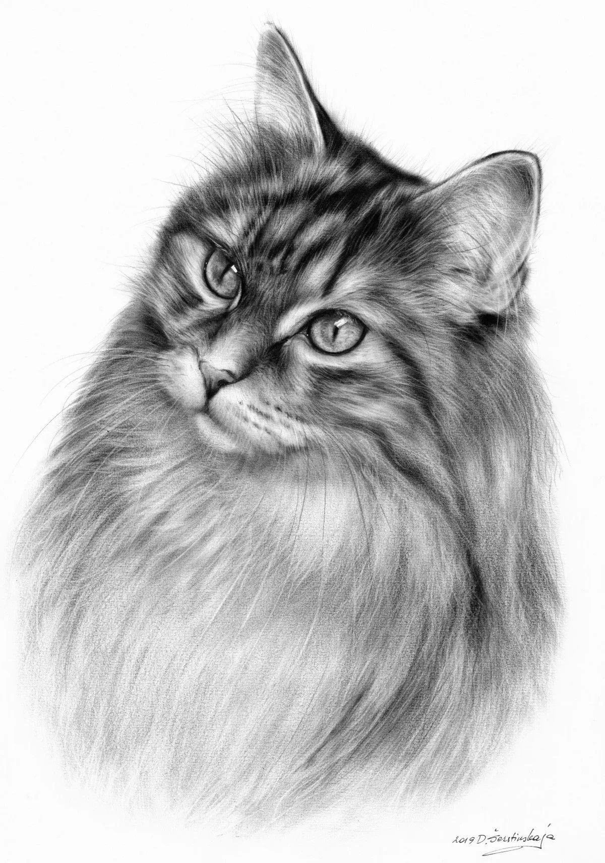 King Cat, œuvre de Danguole Serstinskaja