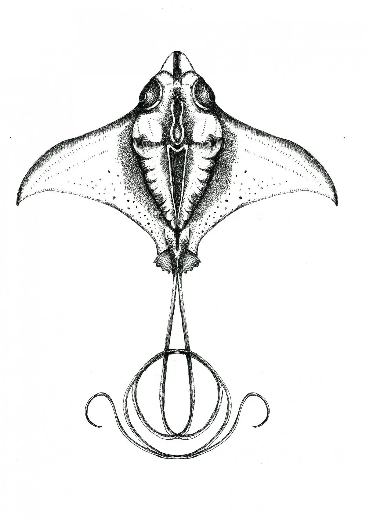 Sting ray, œuvre de Nastasha Minyon Sale