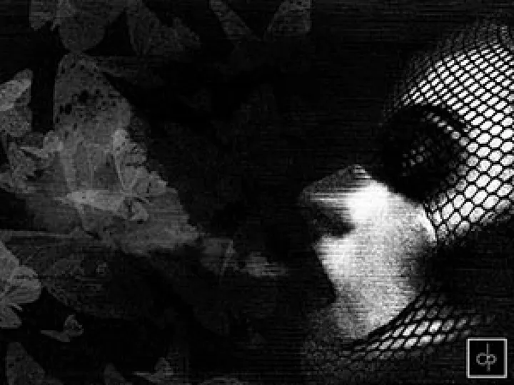 butterflys, œuvre de Dubravka Perisa