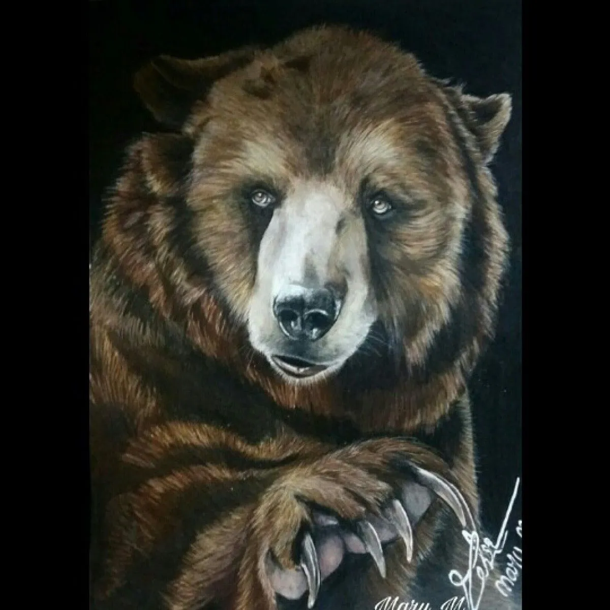 Grizzly, œuvre de Mary M