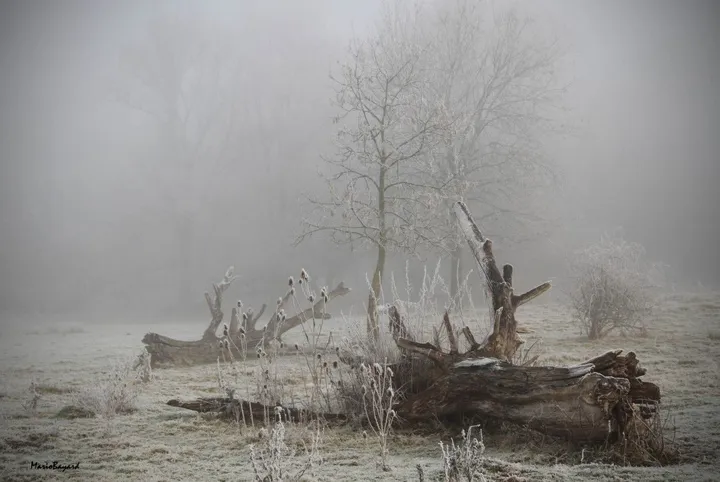 Le silence, œuvre de Mario Bayard