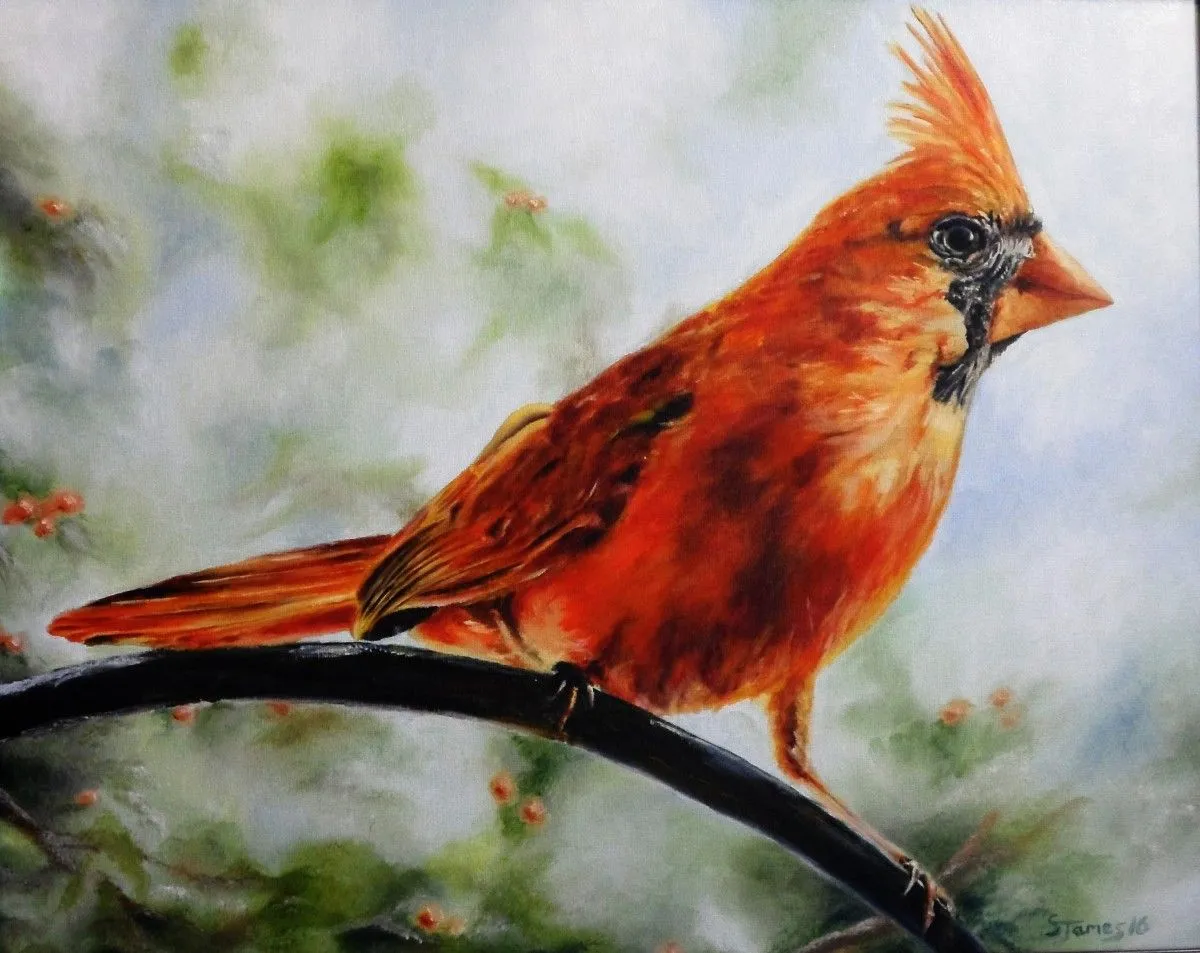 Northern Cardinal, artwork by Steve James