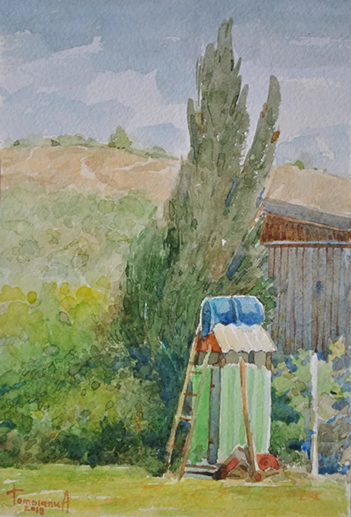 summer shower, œuvre de Anatolii TOMOIANU