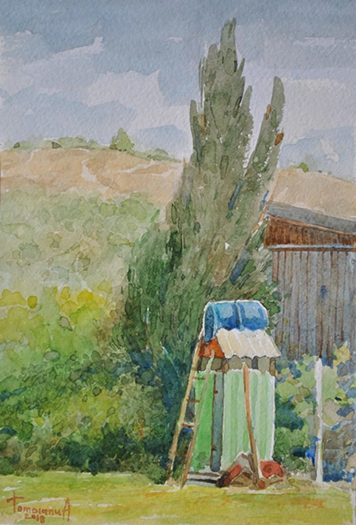 summer shower, artwork by Anatolii TOMOIANU