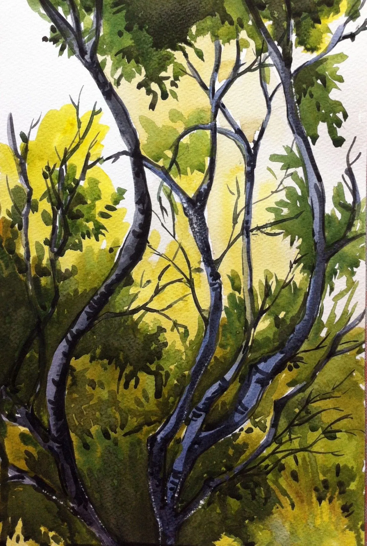 Light, œuvre de Raka Mittra