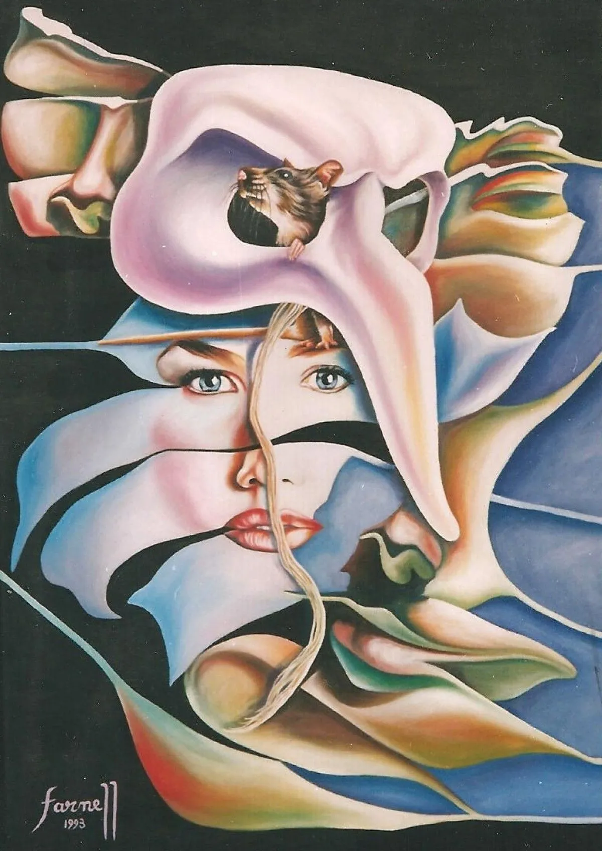 La Autonomía de lo bello III, œuvre de Gabriela Farnell