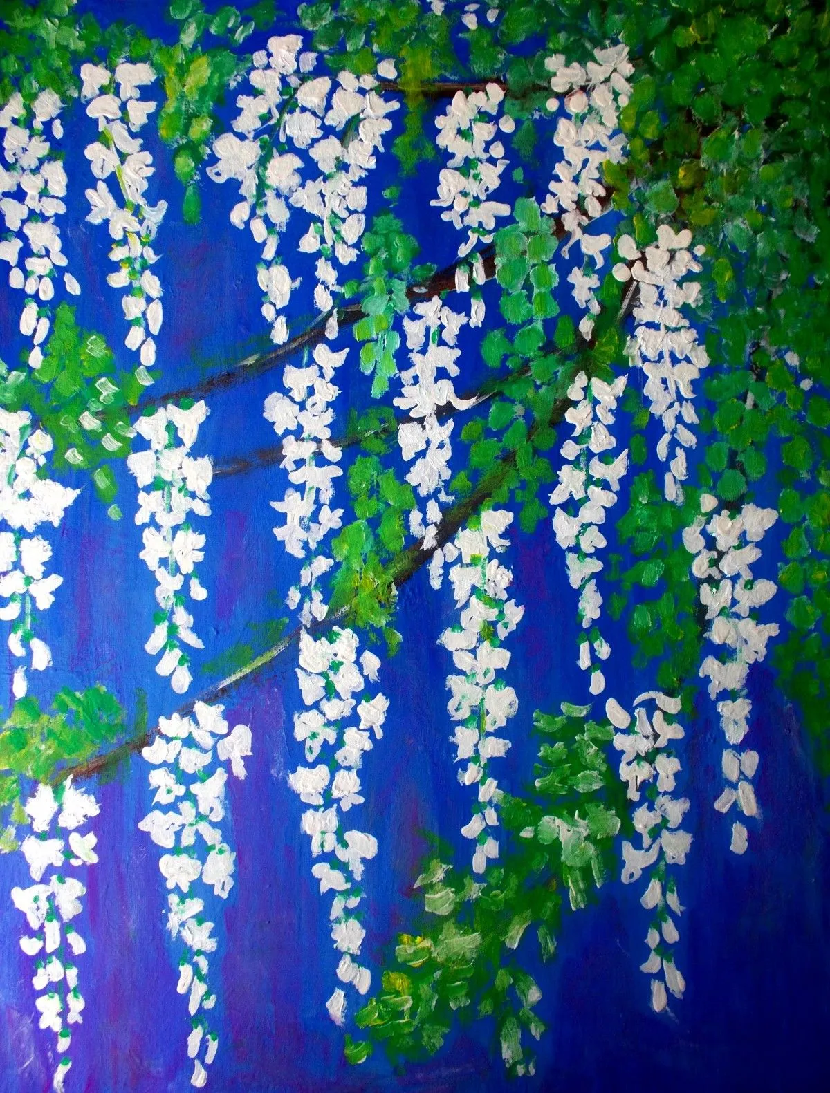 acacia flowers, œuvre de elena buftea