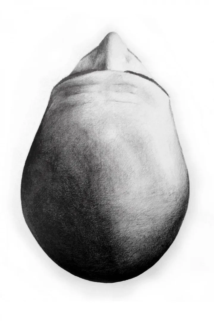 Bold, œuvre de Kristina Krpan
