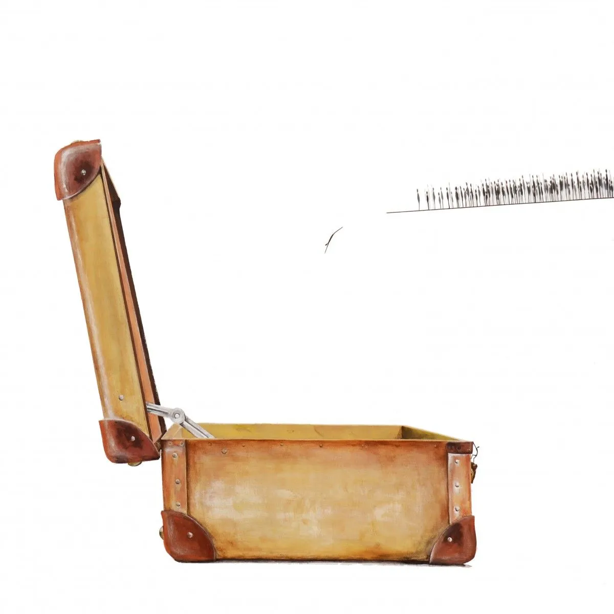 Pocas veces amaneció tan invencible, artwork by Paloma Marquez