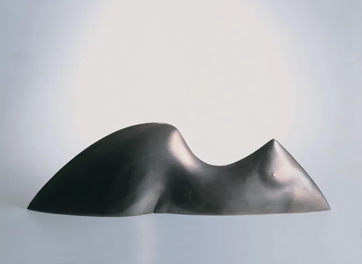 LYING TORSO, œuvre de TARAS LEVKO