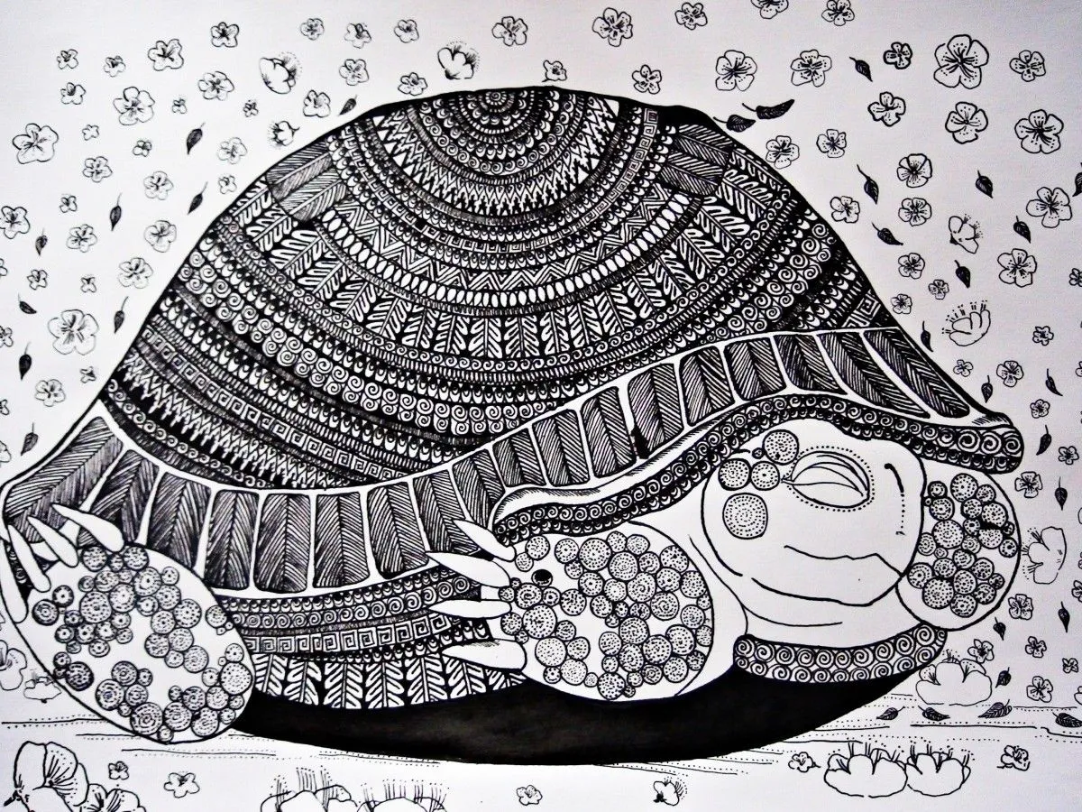 Turtle, artwork by Nato Sajaia