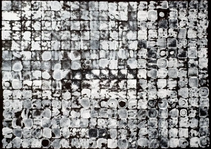 Creation, œuvre de Ivana Kalezic