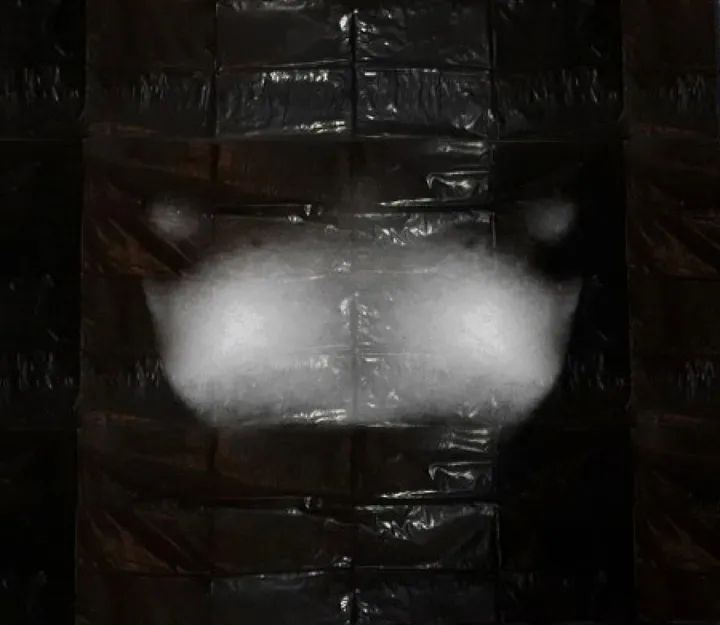 ARS CORONA MORIENDI II, œuvre de Adriana Sáenz Tapia