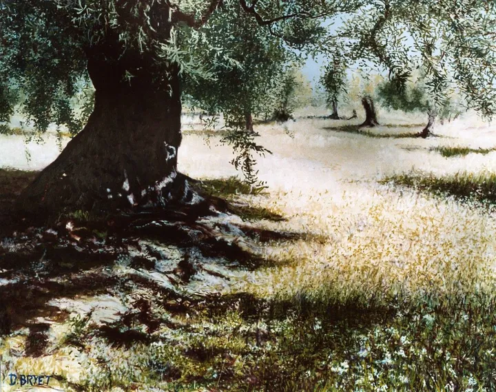 a l'ombre des oliviers, œuvre de dominique bryet