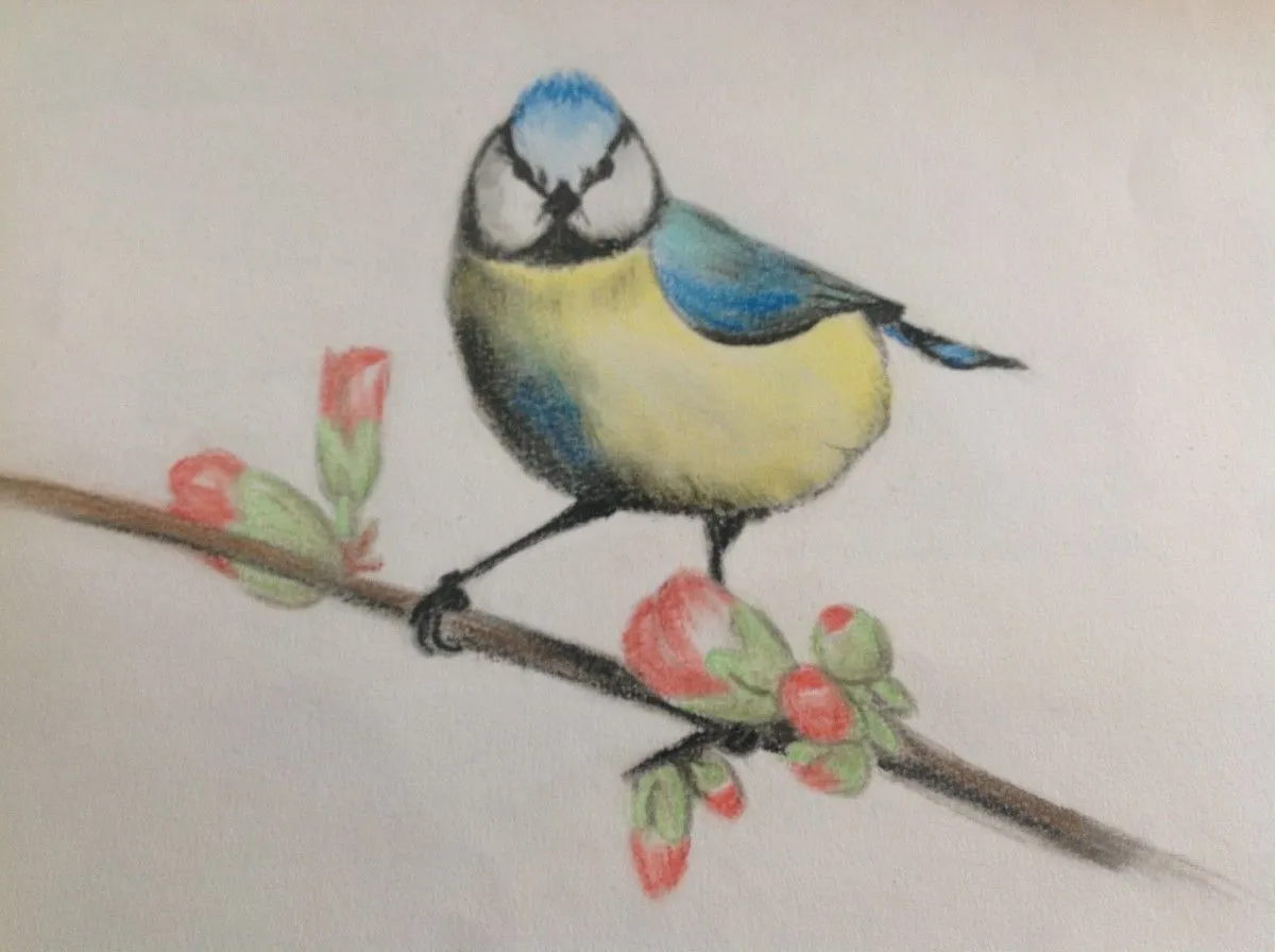 petite mésange, œuvre de Sandrine Henn