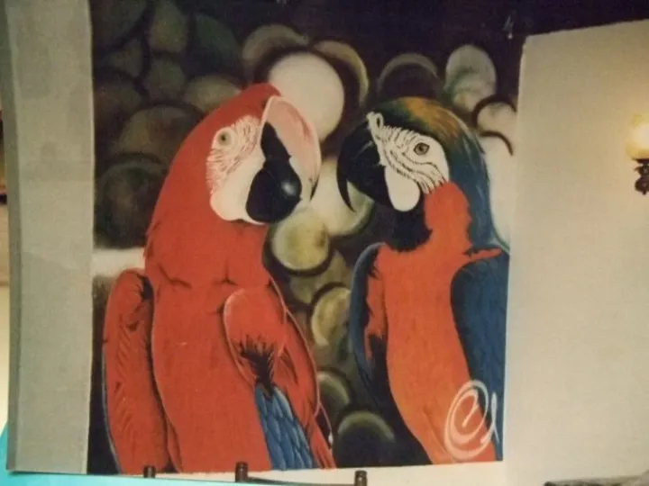Araz', œuvre de iksté art'