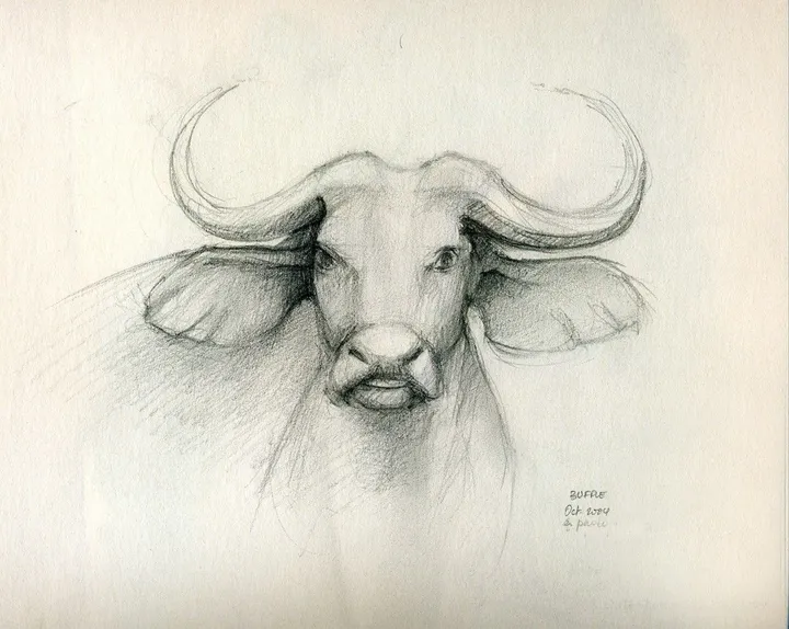 BUFFLE - BUFFALO, œuvre de Jean Bessat
