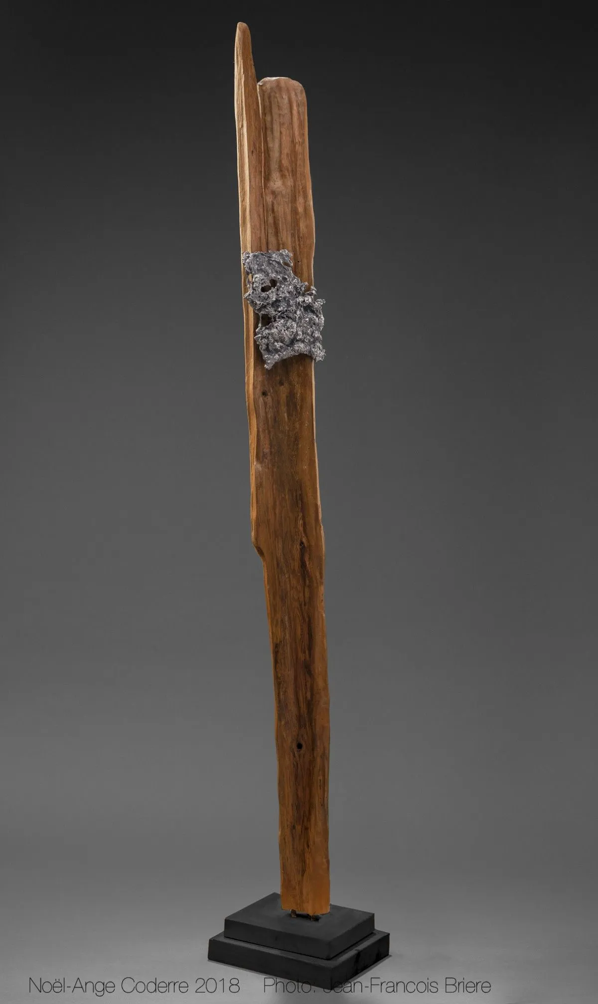 Entre ciel et terre, artwork by Noel Ange Coderre