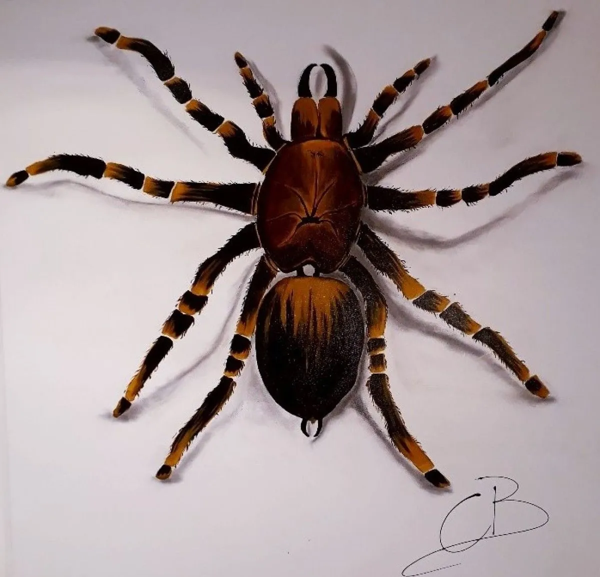 Araignée, artwork by Céline BONFILS