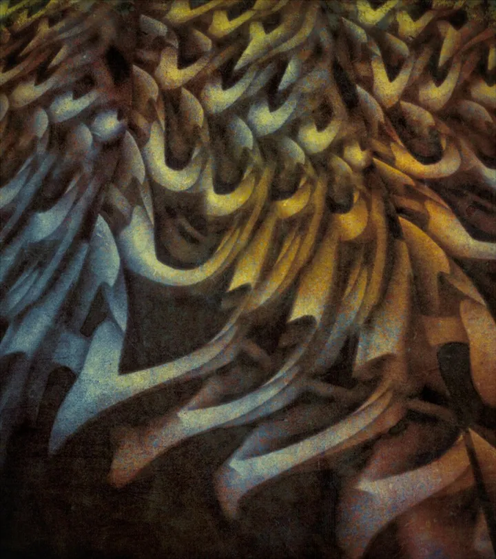 Sequence, œuvre de barry king