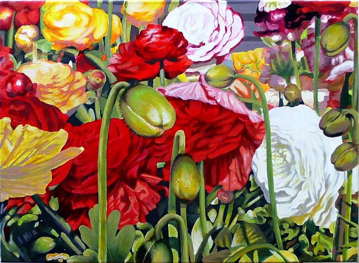 renoncules, artwork by helene lecorsier