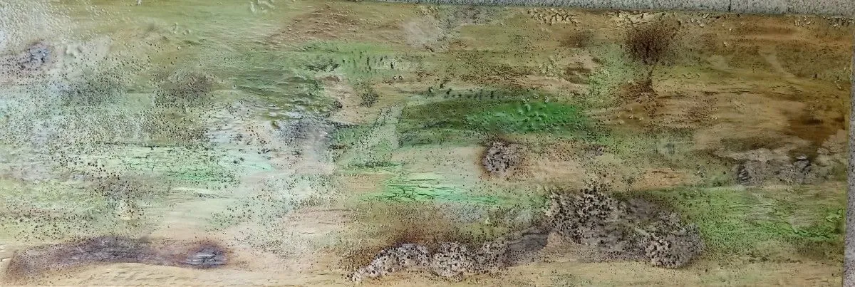 Série Là-bas 8, artwork by Viviane RINCK
