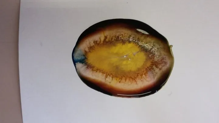 Enigma, œuvre de olivier lasseel